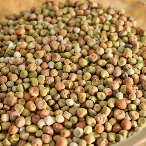 Pea Landrace
